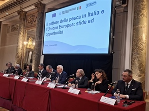 Pesca, Tiozzo (Fedagripesca): rivedere PCP per più investimenti in aggregazione, innovazione e sicurezza